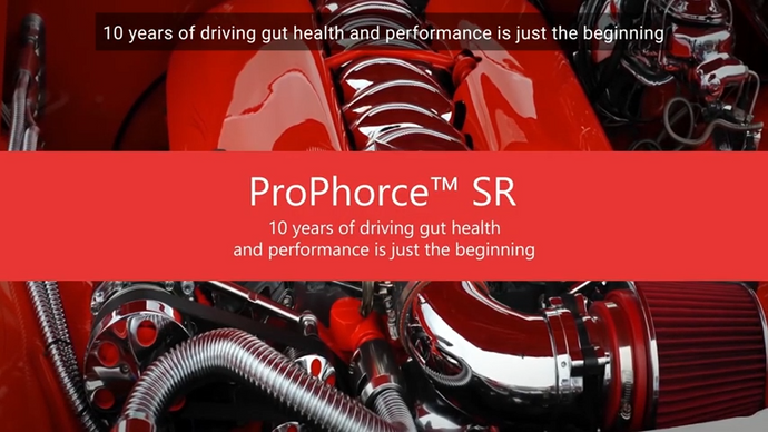ProPhorce™ SR: the last 10 years in one anniversary video