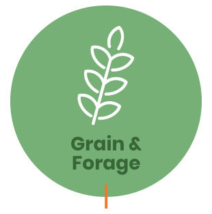 Grain & Forage Acid Preservation 