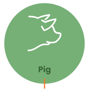 Pig Drinking Water Acid, Organic Acids, Piglet Feed